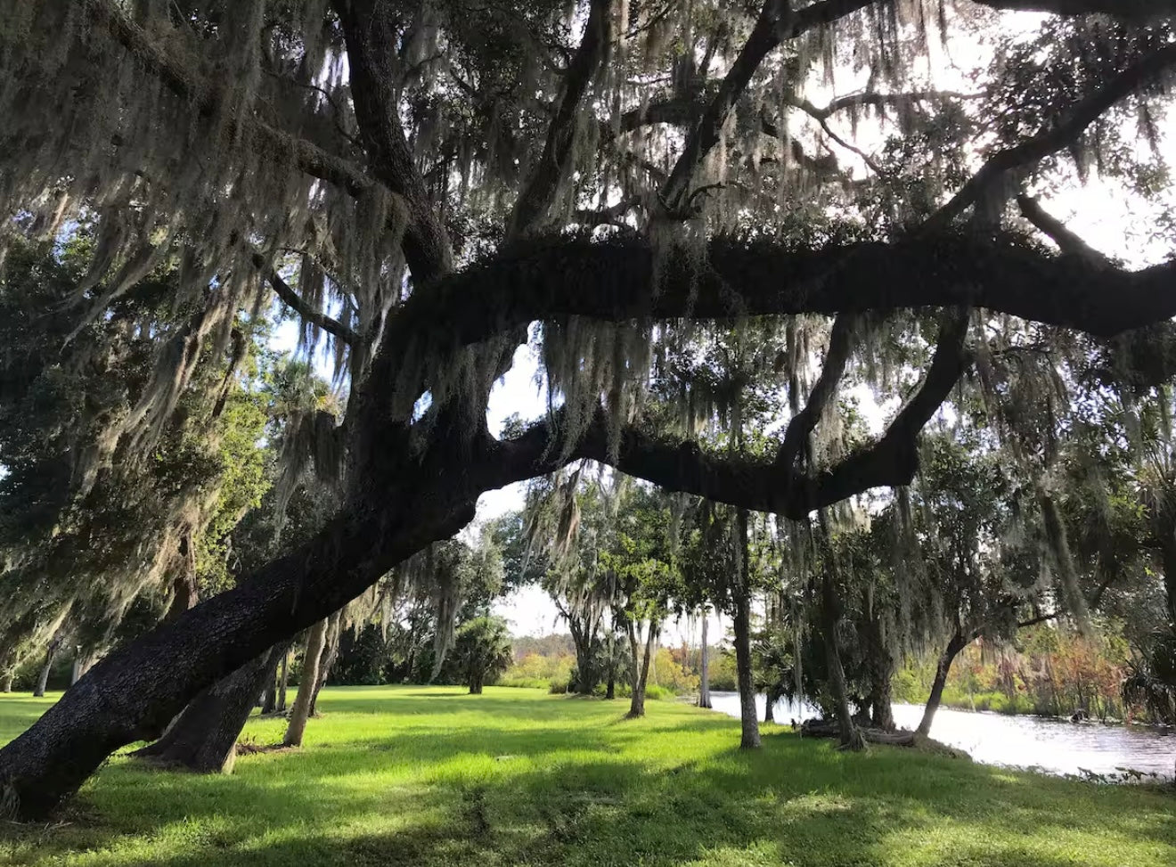 Florida August 2026 Retreat Payment